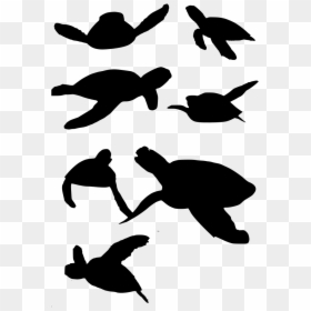 Ejemplos De Reptiles, HD Png Download - turtle png