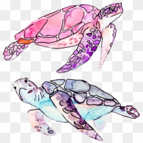 Drawing Easy Sea Turtles, HD Png Download - turtle png