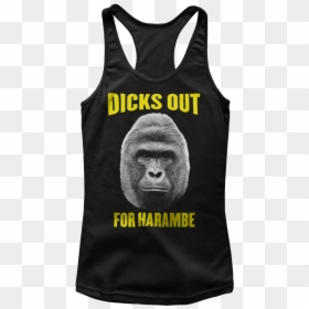 Portable Network Graphics, HD Png Download - harambe png