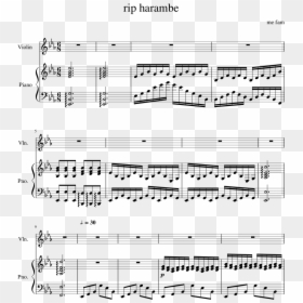 Partition Piano Sunset Lover, HD Png Download - harambe png