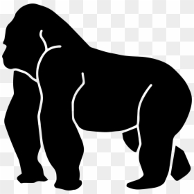 Portable Network Graphics, HD Png Download - harambe png