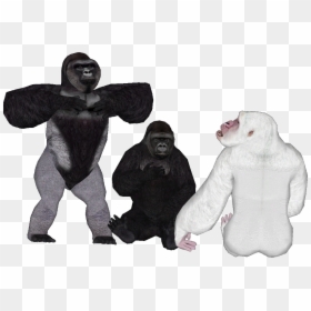 Yukon Gorilla Zt2, HD Png Download - harambe png