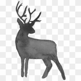Deer Silhouette Transparent Background, HD Png Download - deer png