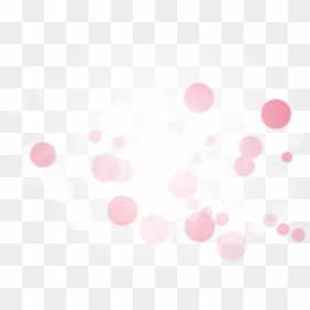 Black String Lights Transparent Background, HD Png Download - lights png