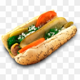 James Coney Island Chicago Dog, HD Png Download - hot dog png