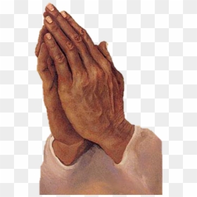 Transparent Praying Hands Png, Png Download - hands png