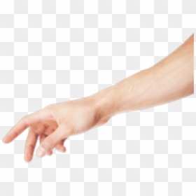 Transparent Human Arm Png, Png Download - hands png