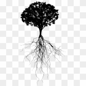 Tree Roots Silhouette Png, Transparent Png - vine silhouette png