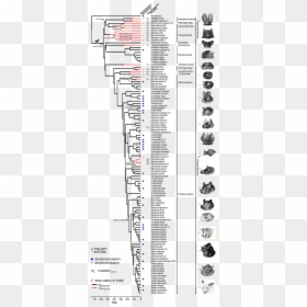 Diagram, HD Png Download - slashes png