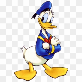 Donald Duck, HD Png Download - cartoon duck png