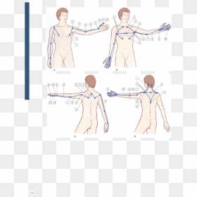 Sketch, HD Png Download - movement lines png