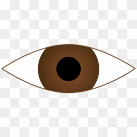 Brown Eyes Clip Art, HD Png Download - eyeball clipart png