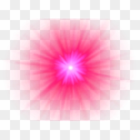 Flower, HD Png Download - light sparkle png