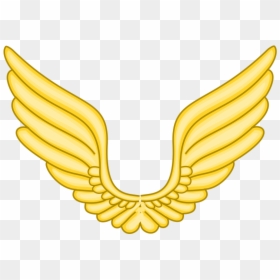 Air Force Coat Of Arms, HD Png Download - asas png