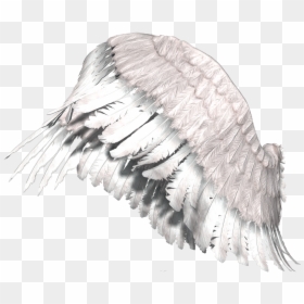 Angel Wings Transparent Png Alas Png, Png Download - asas png