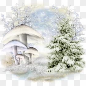 Gifs Good Evening Winter, HD Png Download - winter background png