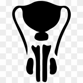 Male Reproductive System Icon, HD Png Download - male female png