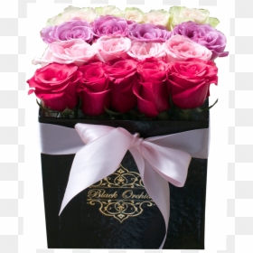 Roses Bouquet Box Png, Transparent Png - flower box png