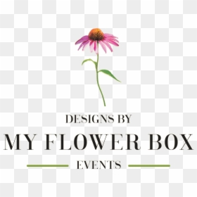 My Flower, HD Png Download - flower box png