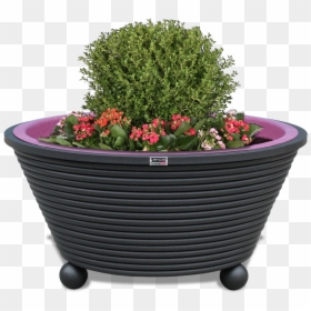Table With Flower Pot Png, Transparent Png - flower box png