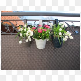 Artificial Flower, HD Png Download - flower box png