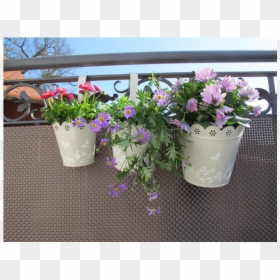 Artificial Flower, HD Png Download - flower box png