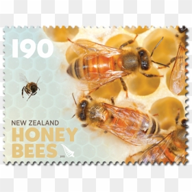 Honeybee, HD Png Download - honey bees png