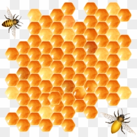يتسع لمئات الألوف ولا يتسع للطير المنتوف, HD Png Download - honey bees png