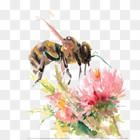 Bee On Flower Drawing, HD Png Download - honey bees png