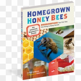 Homegrown Honey Bees Book, HD Png Download - honey bees png