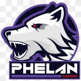 Phelan Gaming, HD Png Download - fnatic png