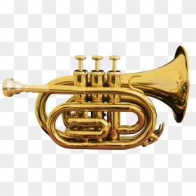 Facts About A Cornet, HD Png Download - instrument png