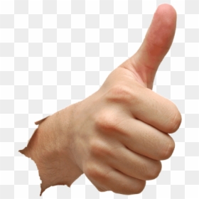 All The Best, HD Png Download - thumbs up and down png