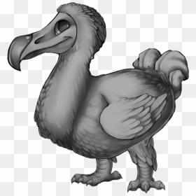 Furvilla Dodo Base, HD Png Download - dodo bird png