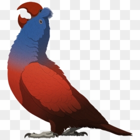 Parrot, HD Png Download - dodo bird png