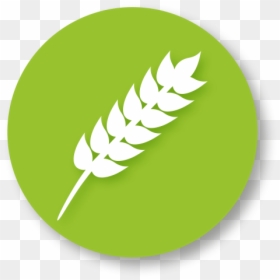 University Of Hertfordshire Food Research Theme, HD Png Download - agriculture icon png