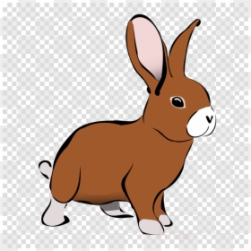 Chat Icon Transparent Background, HD Png Download - bunny rabbit png
