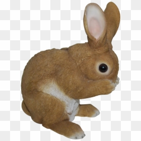 Coniglio Da Giardino In Resina, HD Png Download - bunny rabbit png