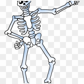 Cute Skeleton Clip Art, HD Png Download - human skeleton png