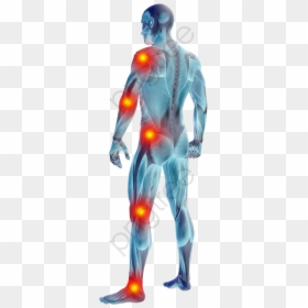 Joint Pain Cream, HD Png Download - human skeleton png
