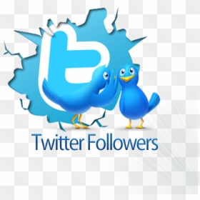 3500 Twitter Followers, HD Png Download - twiter logo png