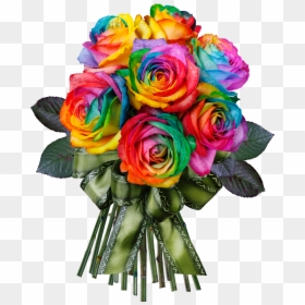 Rainbow Rose No Background, HD Png Download - rose png image