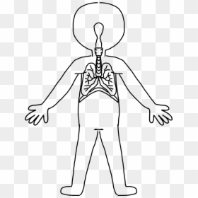 Table Tennis Stance Position, HD Png Download - human skeleton png