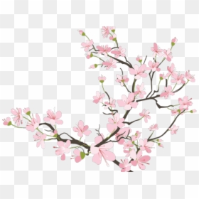 Cherry Blossom Transparent Background, HD Png Download - sakura branch png