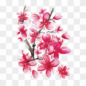 Сакура Картинки, HD Png Download - sakura branch png