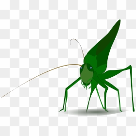 Grasshopper Clipart, HD Png Download - crickets png