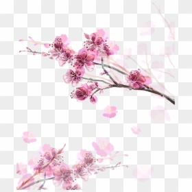 Arbol De Durazno Dibujo, HD Png Download - sakura branch png