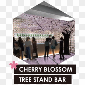 Keep Calm And Blog, HD Png Download - sakura branch png