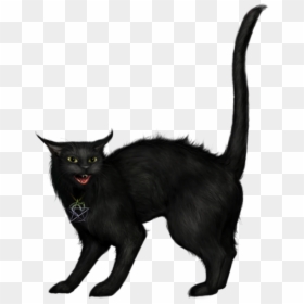 Scary Black Cat Png, Transparent Png - cat png image
