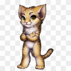 Scottish Fold Cat Base, HD Png Download - cat png image